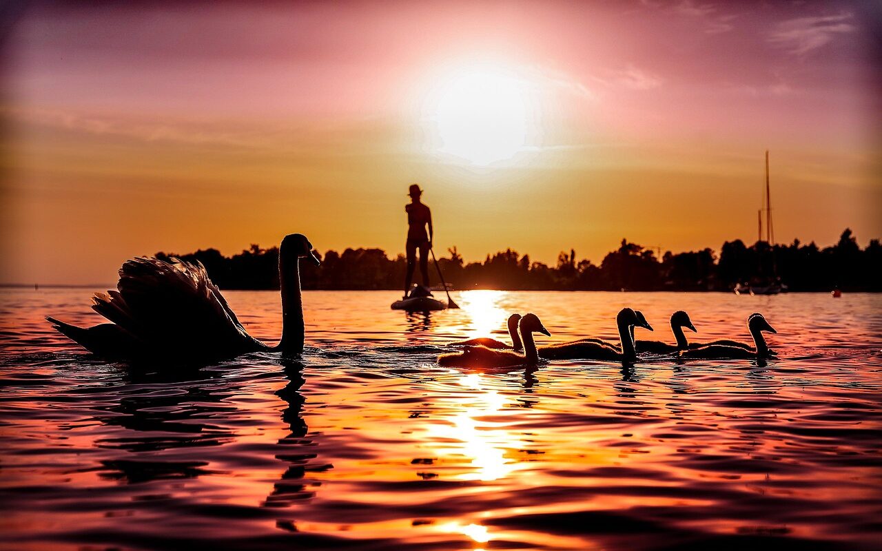 Sup huren veluwemeer