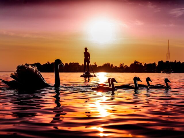 Sup huren veluwemeer